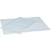 18"x24" LIGHT DUTY POLYTHENE BAGS (PK-500) thumbnail-1