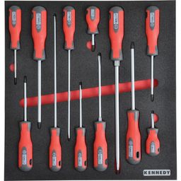 12 Piece Pro-Torq Screwdriver Sets in Tool Control 2/3 Width Foam Inlay.
 thumbnail-0