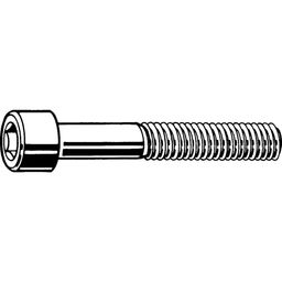 Socket Head Cap Screw, Metric, M12 thumbnail-1